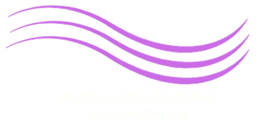 underwaterparfums.com